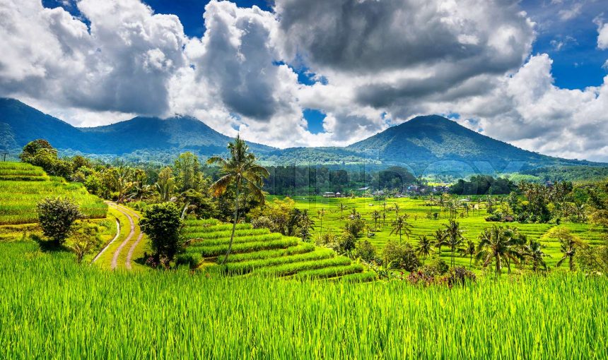 Ubud and Volcano Tour ( Package 2 )