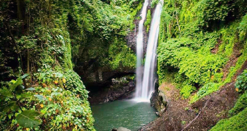 Nature and Jungle Tours